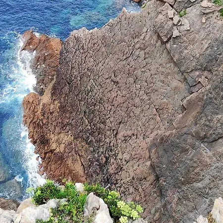 Encuentra El Norte En La Casa Del Buen Camino Orena