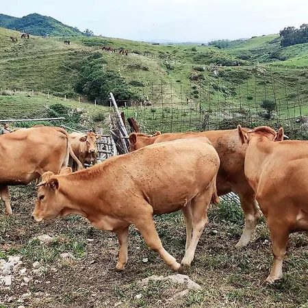 Encuentra El Norte En La Casa Del Buen Camino * Orena