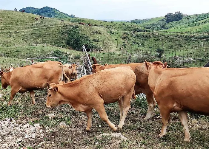 Encuentra El Norte En La 