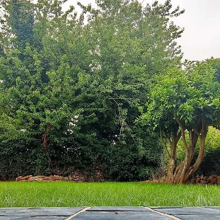 Encuentra El Norte En La 