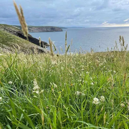 Alpehytte Encuentra El Norte En La Casa Del Buen Camino