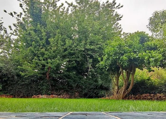 Encuentra El Norte En La 