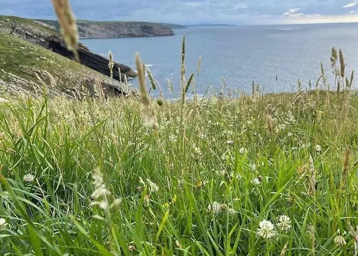 Chalet Encuentra El Norte En La 